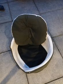 dog bed