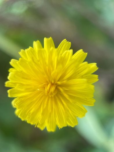 Various original macro nature photos on foam tiles