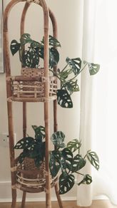 Plant Stand