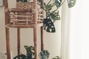 Plant Stand