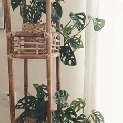 Plant Stand