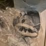 kia parts Image 8