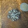 brooch Image 4