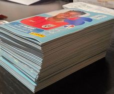 Panini World Cup 2026