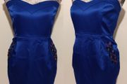 Beautiful Occasion Dress with pockets