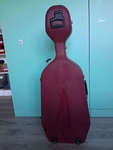 Cello hard case.