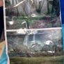 Jurassic World My Busy Books Image 4