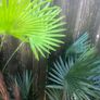 Artificial Flower Image 5