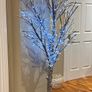 Tree Image 2