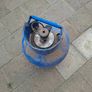 Calor Gas Cylinder Image 2