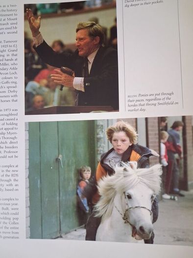 The World of The Irish Horse / 1992