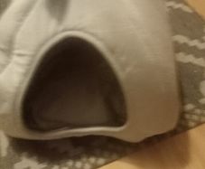 cat cave bed never used