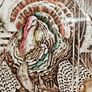 Vintage Johnson Bros HIS MAJESTY Turkey Dinner Plate Image 4