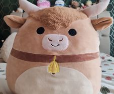 Calton the highland cow, Squishmallow