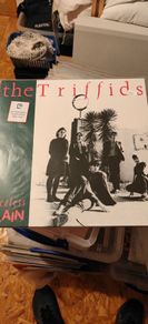 The Triffids - Treeless Plain