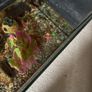 aquarium Image 2
