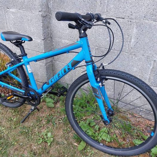 Giant ARX JR 24" wheel kids bike - kids aged 7-12 years old - Hybrid Bike - Fully serviced