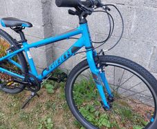 Giant ARX JR 24" wheel kids bike - kids aged 7-12 years old - Hybrid Bike - Fully serviced