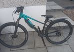 Giant Liv mountain bike