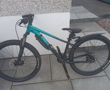 Giant Liv mountain bike