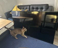 2 Tvs