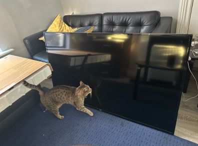 2 Tvs