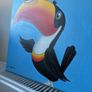 Guinness Toucan Image 6