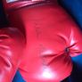 Autographed Kevin McBride Signed Everlast Boxing Gloves (Pair) Image 6