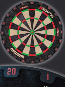Dartboard Number Ring