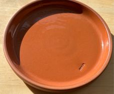 Clay flower pot saucer