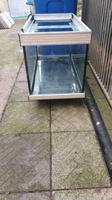 fish tank