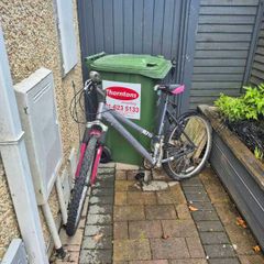 womens bike