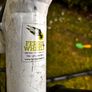 Giant Contend 2 (2017) Image 7
