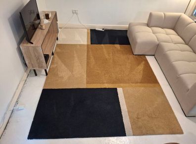 Rug (IKEA, low pile)
