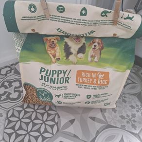 Puppy