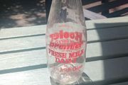 PREMIER Dairys milk bottle