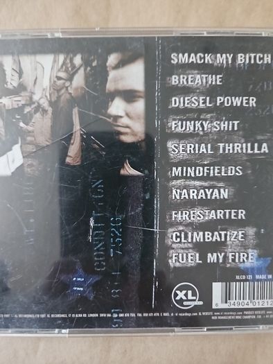 Prodigy - The Fat Of Land.