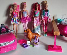 Barbie Bundle & Accessories