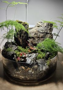 Nature Japanese style paladarium
