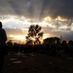 Limerickseller1475c