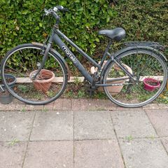 Bicycle