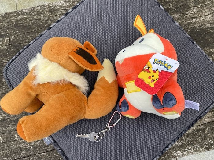 Two Pokemon plush - NEW Fuecoco & Eevee