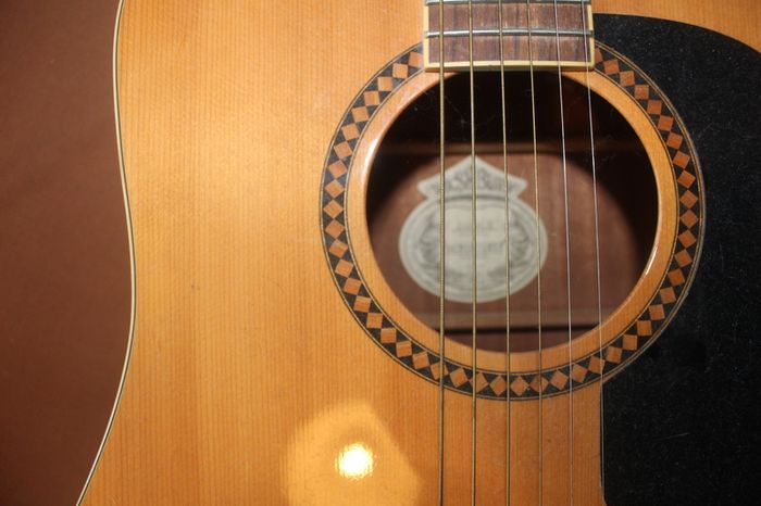 Washburn D10SCE Cutaway Acoustic Guitar