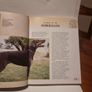 Dobermann - Pet Love Image 4