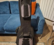 guitar case