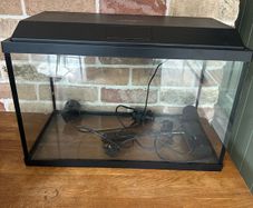 fish tank