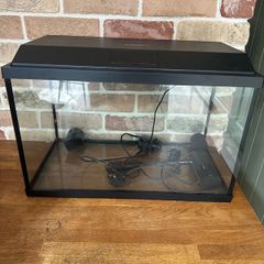 fish tank
