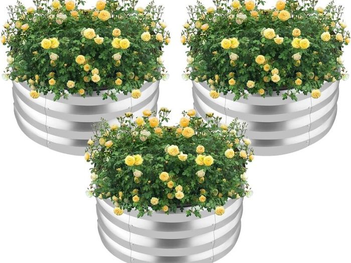 Raised Garden Beds x 3