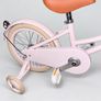 Banwood Bike Image 4