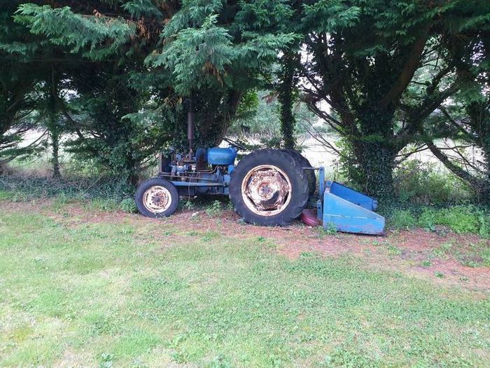 fordson dexta